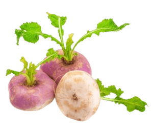 turnip baby south africa freshleaf uae