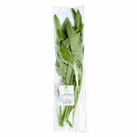 water spinach kangkong dubai freshleaf uae