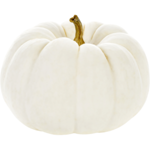 white pie pumpkin freshleaf dubai uae