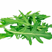 wild rocket sanitized freshleaf uae