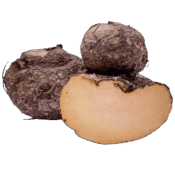 yams suran freshleaf uae