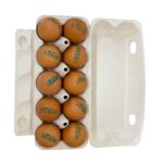 organic eggs freshleaf dubai