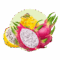 category image of dragon fruits