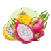 category image of dragon fruits