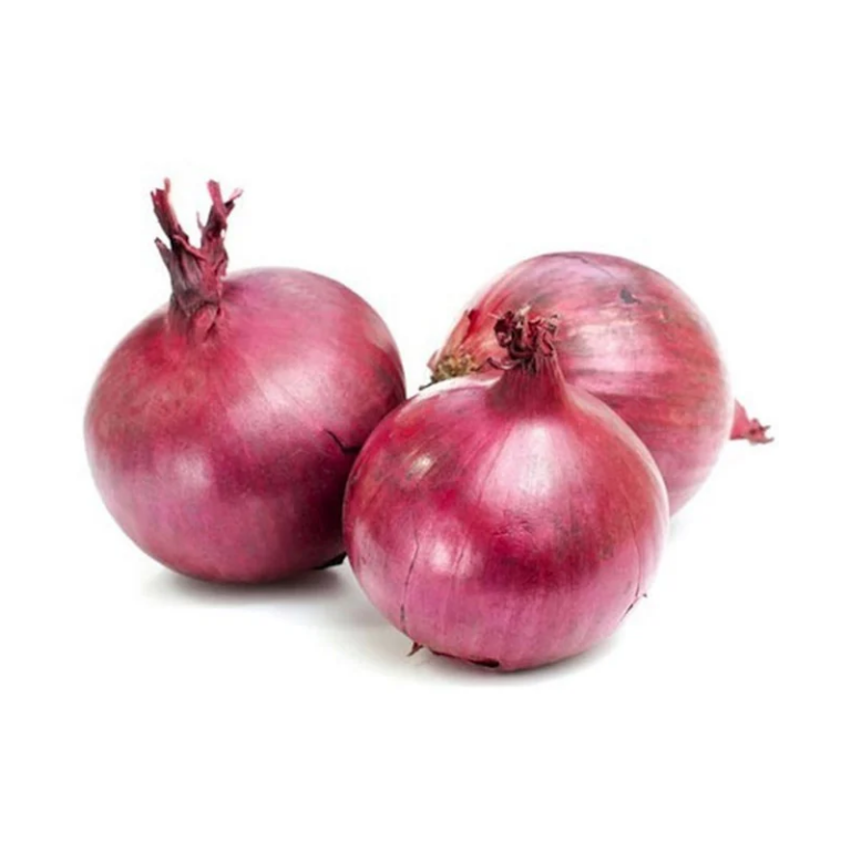 Red onion fresh of turkey origin, available for sale at Fresh Leaf UAE