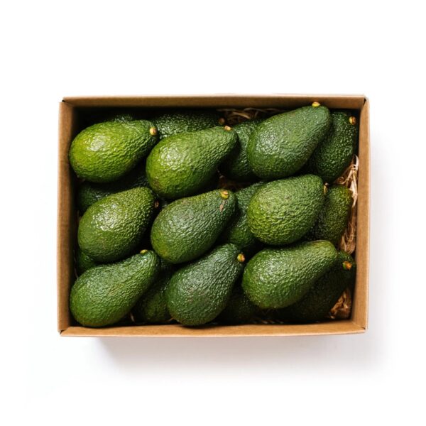 Avocados - 4kg Box