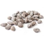 APRICOT KERNELL SALTED