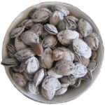 APRICOT KERNELL SALTED - Image 2