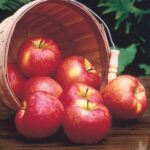 Apple Red - Image 5
