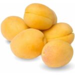 Apricot Shalack