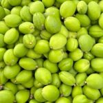 DOVCHA (APRICOT) GREEN - Image 3