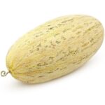 Melon MINI TORPEDO