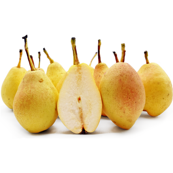 Pear Winter Uzbekistan