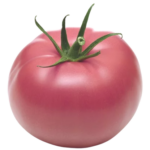 TOMATO PINK SOFT