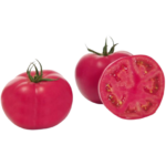 TOMATO PINK SOFT - Image 2