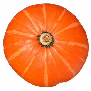 Hokkaido Pumpkin (Red Kuri Squash) whole pumpkin on a white background