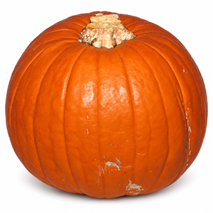 Pie Pumpkin (Sugar Pumpkin) whole pumpkin on a white background